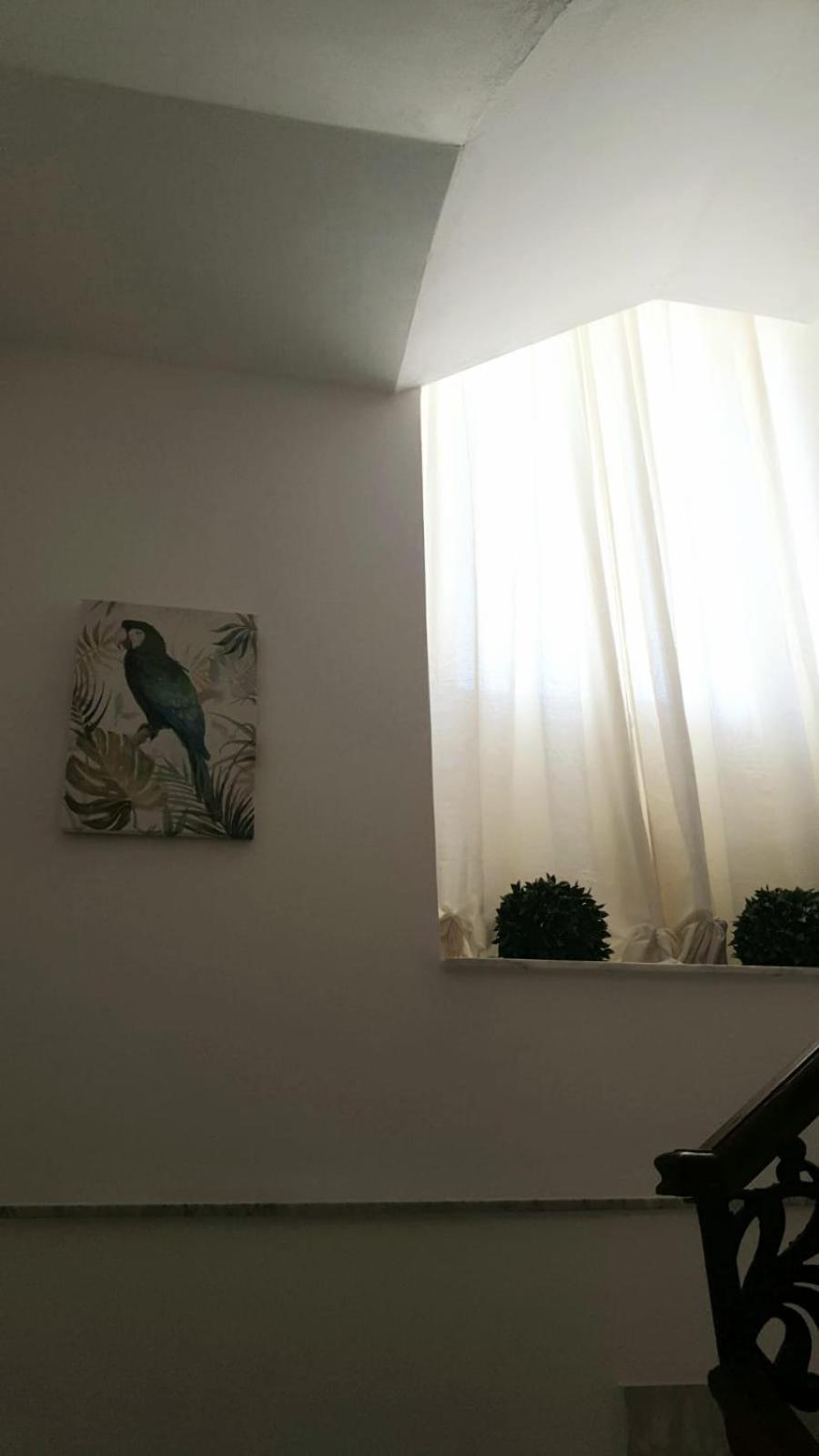 Mia'S Rooms โนโต ภายนอก รูปภาพ
